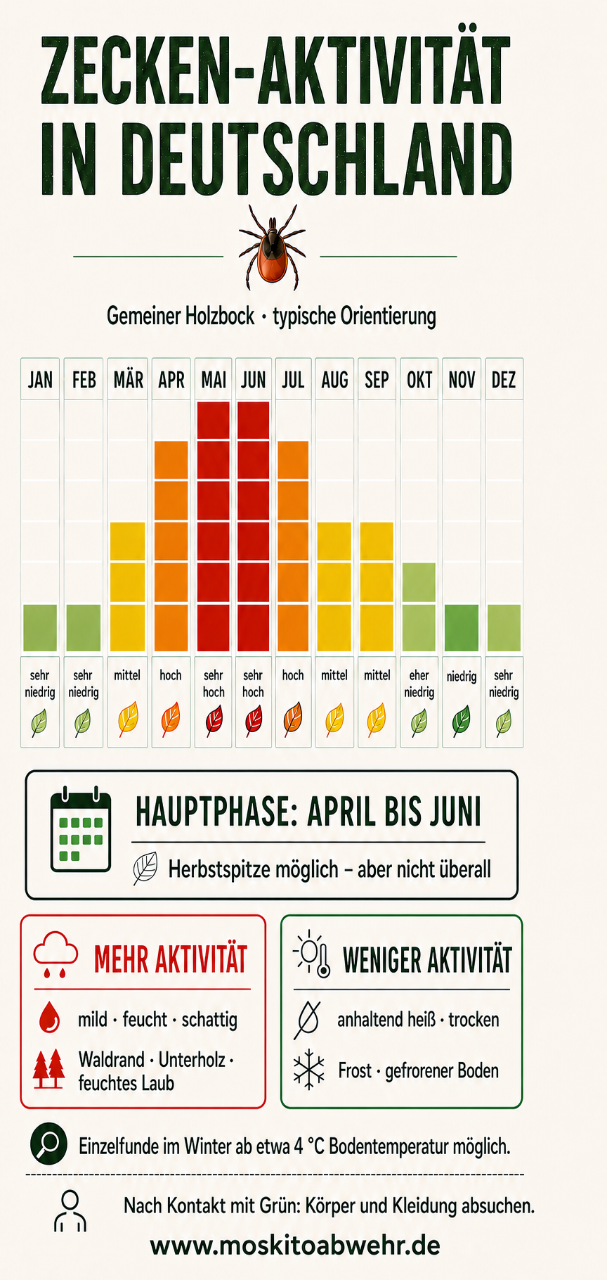 Infografik zur typischen Zeckenaktivität in Deutschland von Januar bis Dezember: Maximum im Mai und Juni, hohe Aktivität im April und Juli